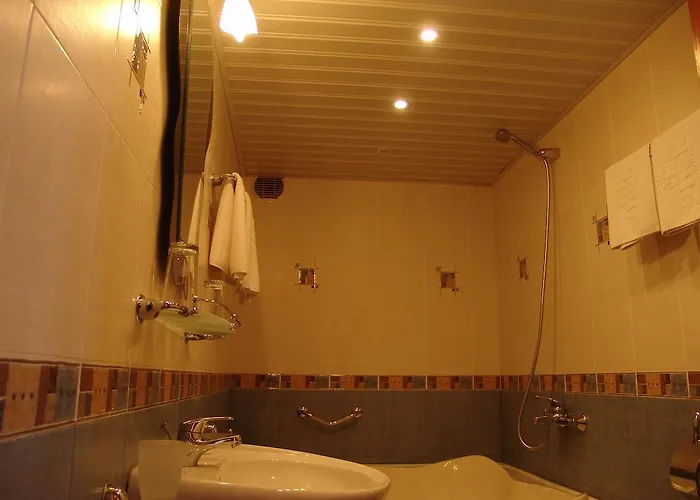 מלון Zheleznik סטרה זגורה