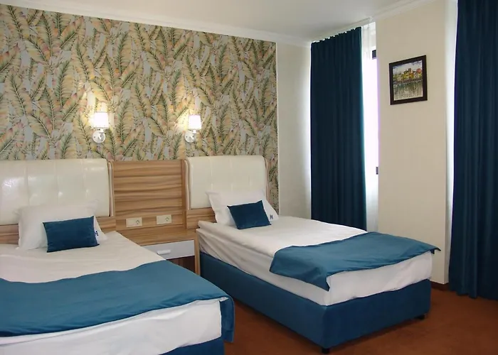 מלון Zheleznik 2*